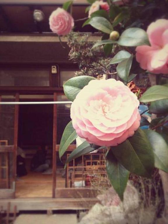 Gomaharu Guesthouse 大阪市 エクステリア 写真